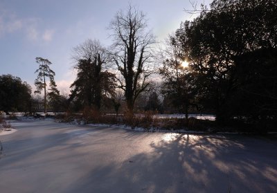 Frozen pond.jpg