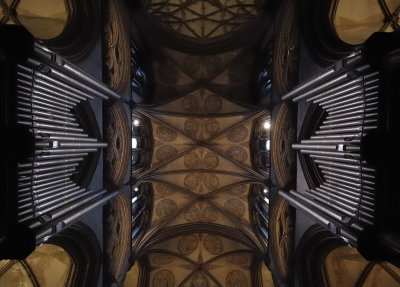 organ2.jpg