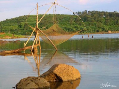 Fishing Net by Antoine