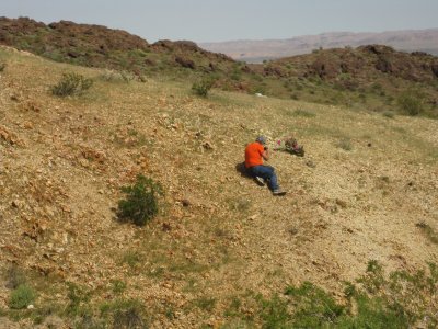 003 man taking photo of blooming cactus.JPG