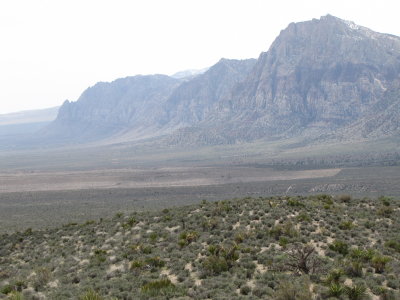 red rock conservation area, nevada 4-2010