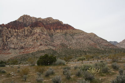red rock conservation area, nevada 4-2010