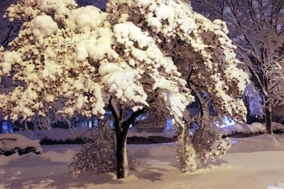 Madison Snow Storm December 2009