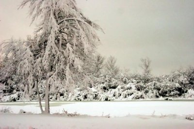 Madison Snow Storm December 2009