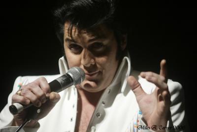 Elvis 01.jpg