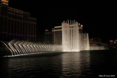 Vegas Nights 03.jpg