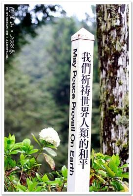 alishan_084 .jpg