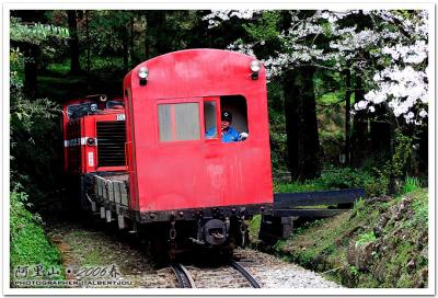 g3/33/110733/3/58665247.alishan_004.jpg