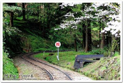 g3/33/110733/3/58665248.alishan_005.jpg