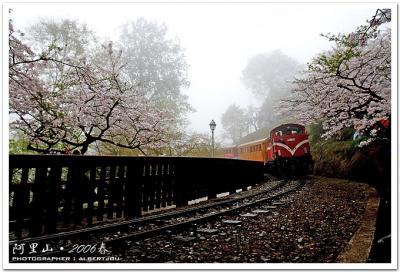 alishan_038 .jpg