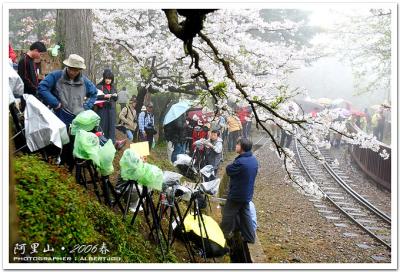 alishan_053 .jpg