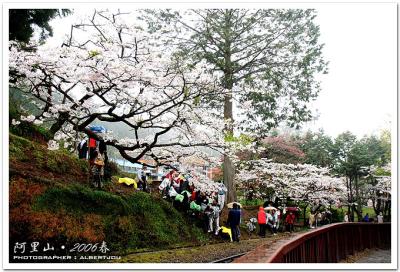 g3/33/110733/3/58665270.alishan_058.jpg