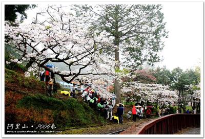 alishan_058 .jpg