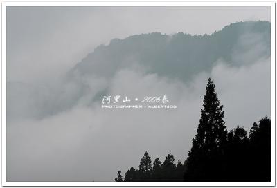 alishan_091 .jpg