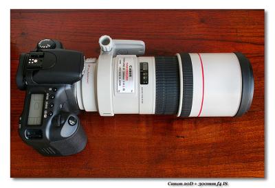 Canon EF 300mm f/4 IS