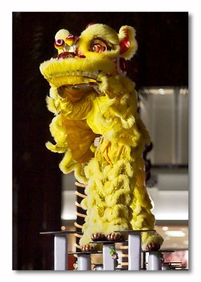 Southern Lion Dance