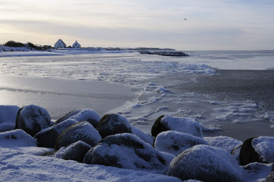 Coast at Lgstr Denmark