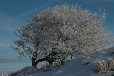 Winter in Denmark