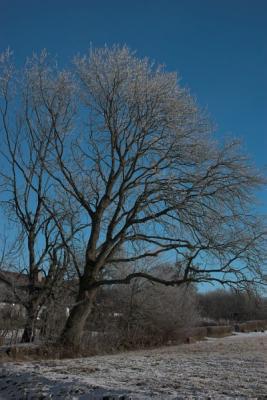 Winter in Denmark