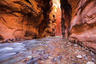 The Narrows of Zion