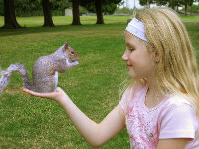 squirrel-in-hand.jpg