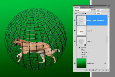 kiki in sphere cage.jpg