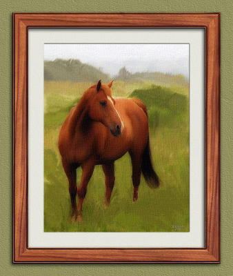 framed-horse2.jpg