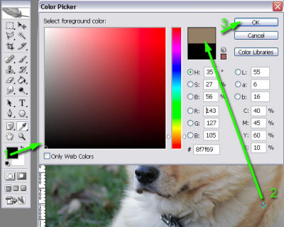color-picker.jpg