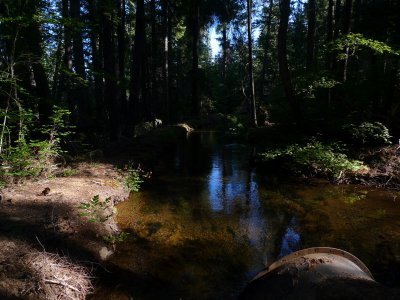 g3/33/362233/3/114610895.EXgyC0of.jpg