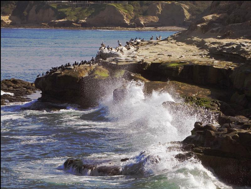The Surf