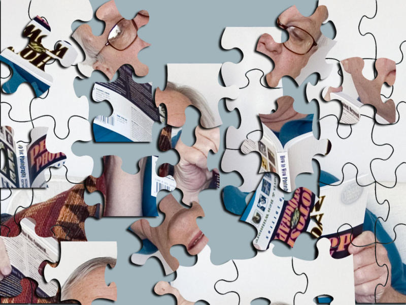 The  Puzzle