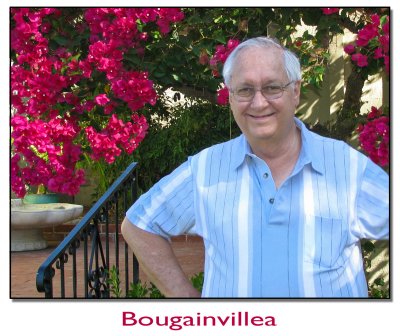 Bougainvillea