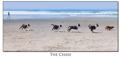  The Chase