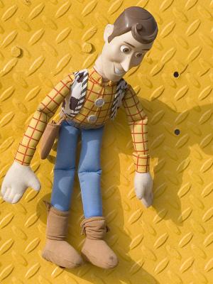 A  Woody!