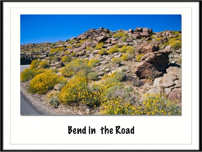 Bend in the Road