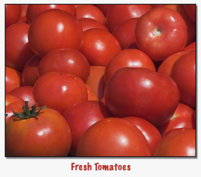 Fresh Tomatoes