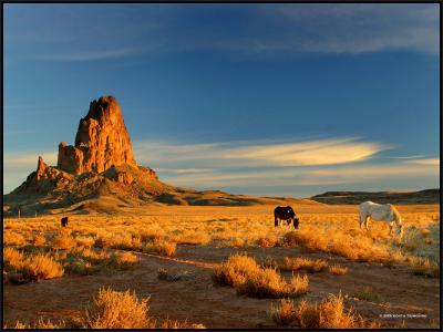 Navajo Land