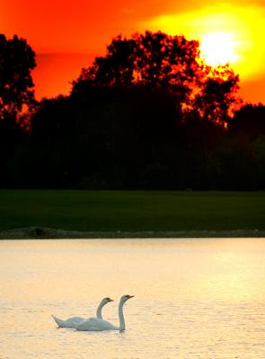 Sunset Romance