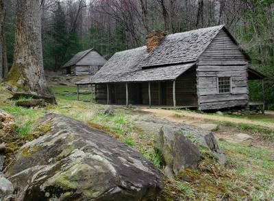 Ogle Place