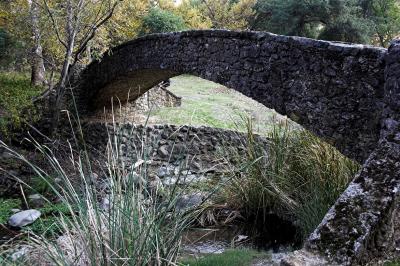 zagbridge.jpg