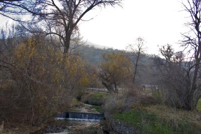 Creekside