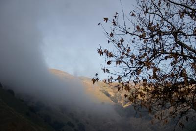 Cloud Cover