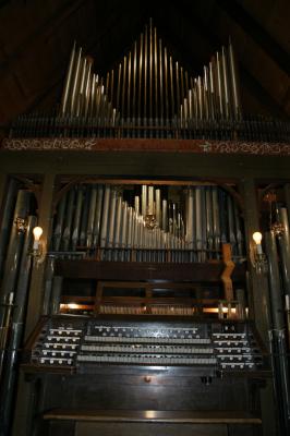 The Organ