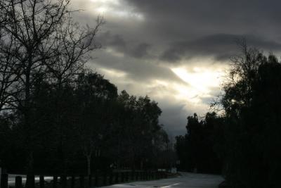 roadway.jpg