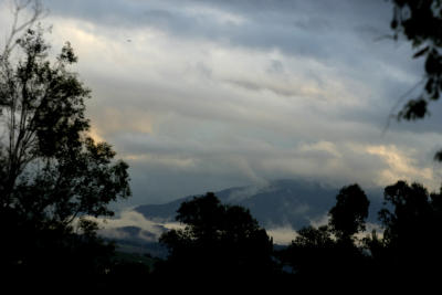 View.jpg