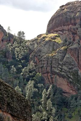 Pinnacles Feb 2006