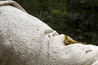 0095_FallenArtPiece3Close.jpg