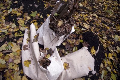 0108_FallenArtPiece10.jpg