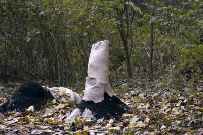 0109_FallenArtPiece11.jpg
