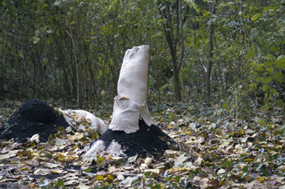 0110_FallenArtPiece8.jpg